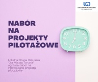 nabór na projekty pilotażowe (1).jpg